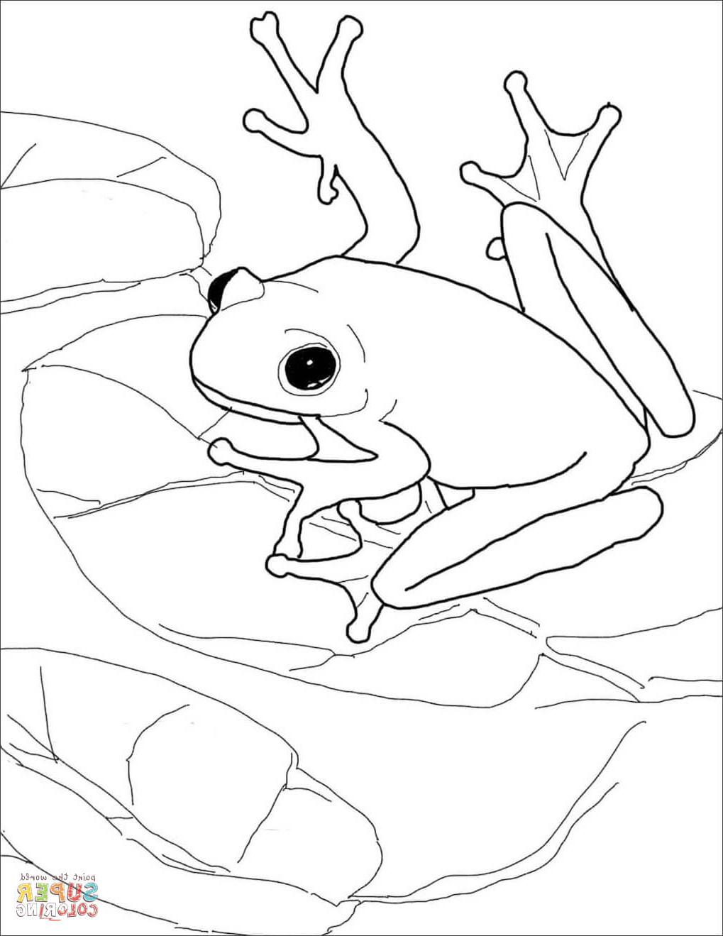 Frog Coloring Pages Swiming Frog Coloring Pages For Kids Printable ...