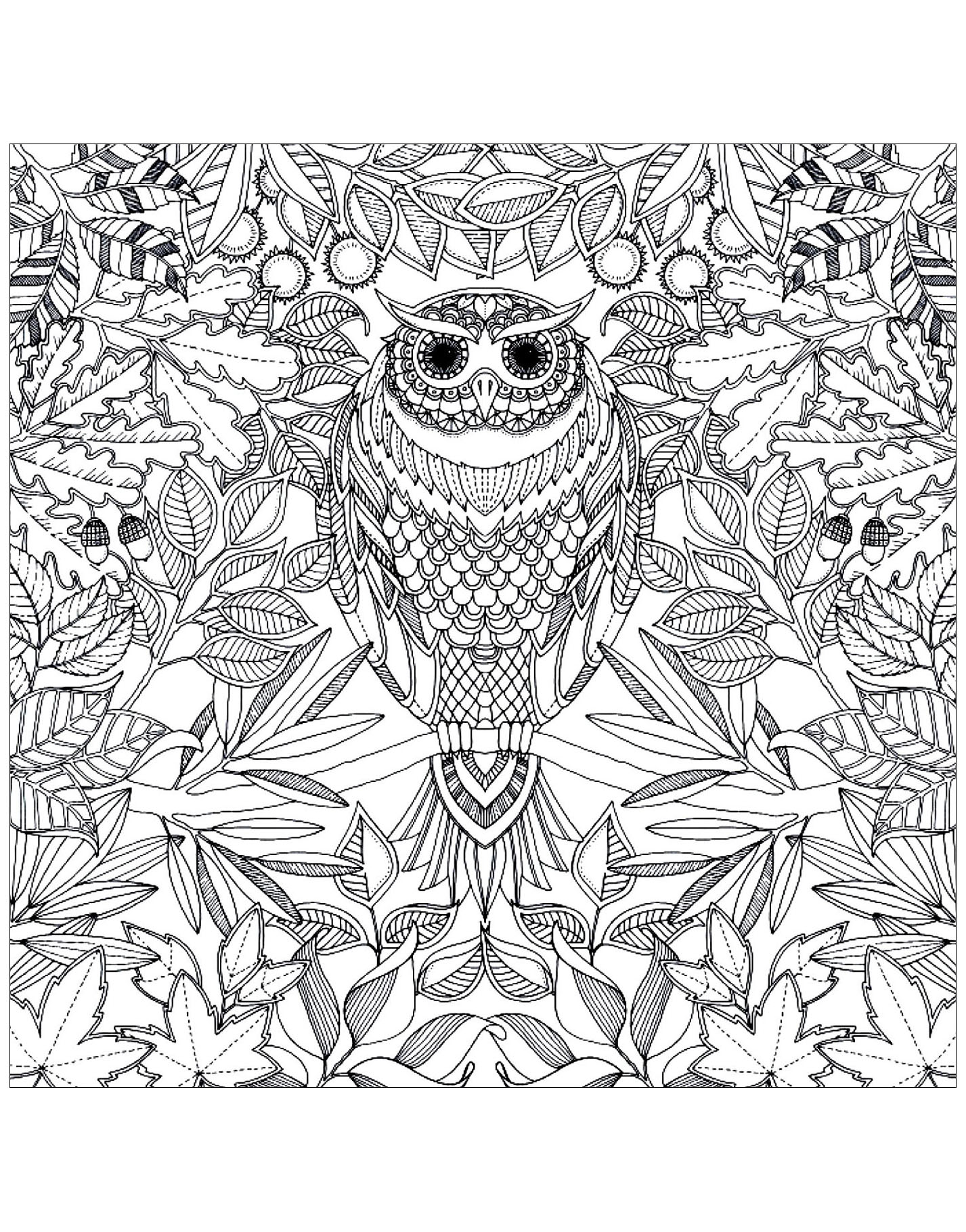 Owl Coloring Pages For Adults Owls Coloring Pages For Adults