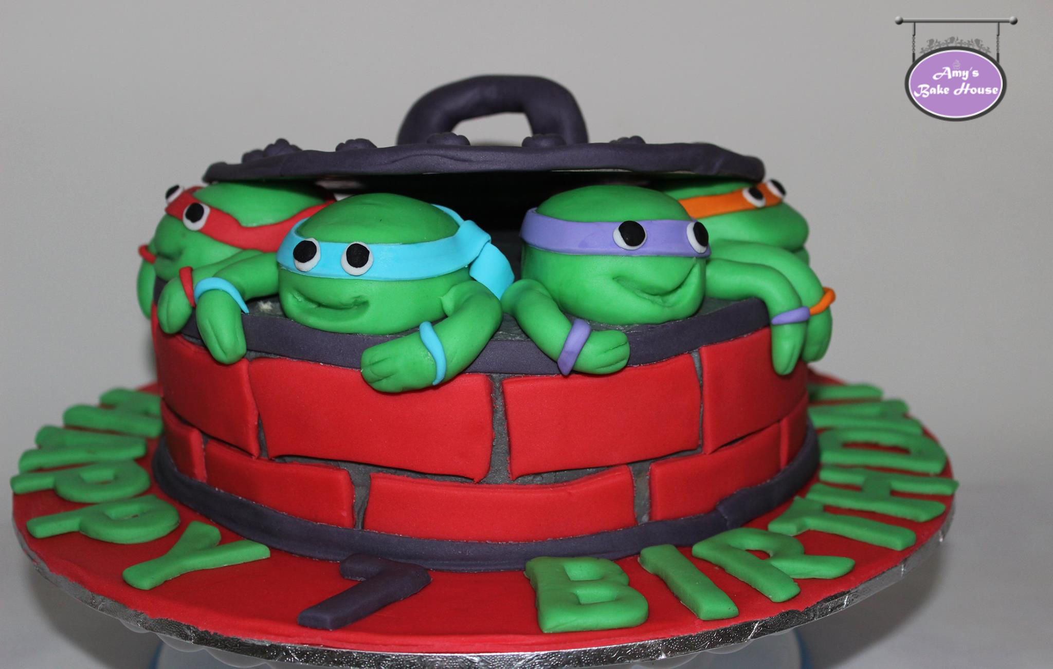 Tmnt Birthday Cake Ninjas Tmnt Birthday Cake Amys Bake House ...